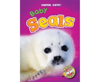 Baby_Seals